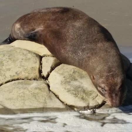 Moeraki Boulders Motel Hampden Экстерьер фото