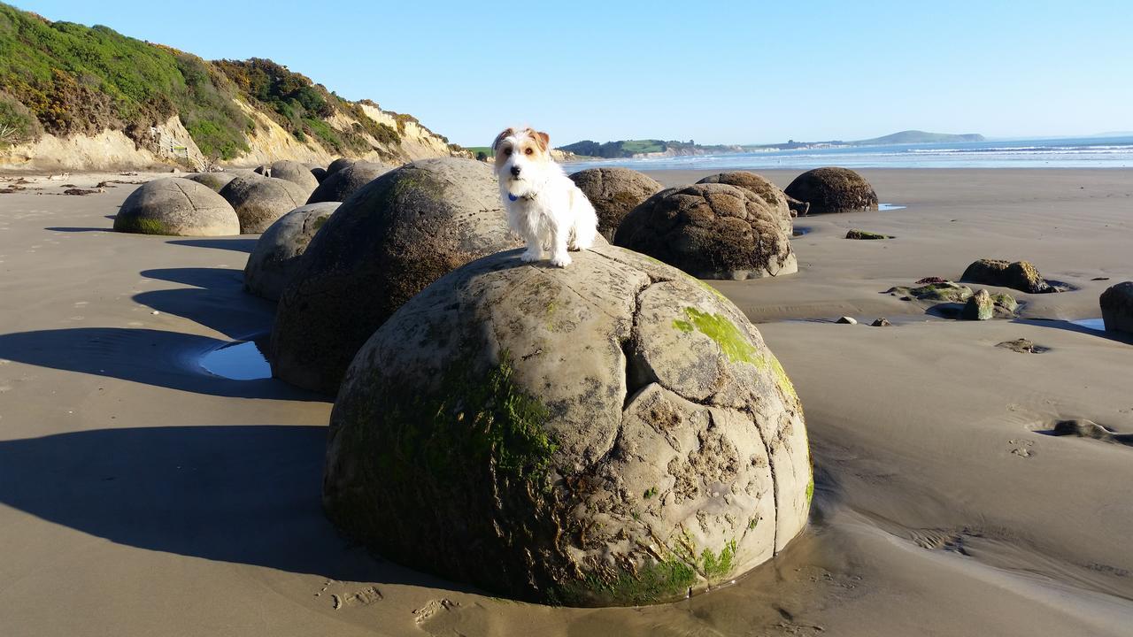 Moeraki Boulders Motel Hampden Экстерьер фото